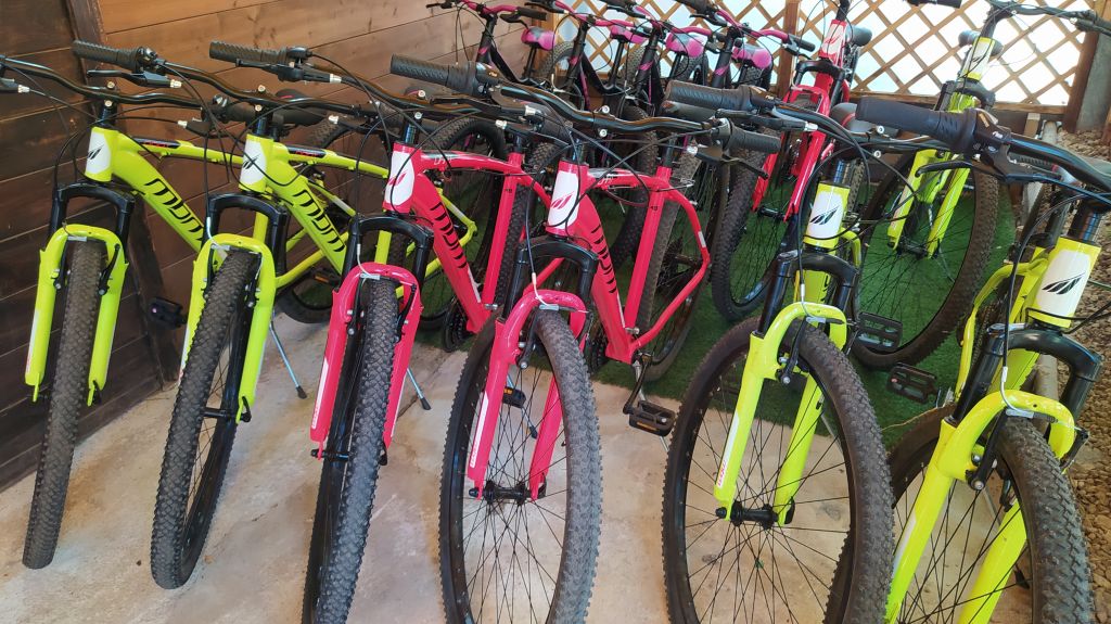 bici parco elfi adulti