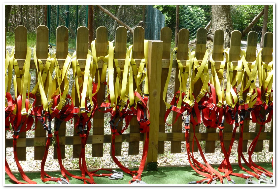 Divertirsi in Sicurezza al Parco degli Elfi