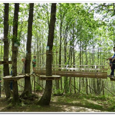 Parco Elfi 00028